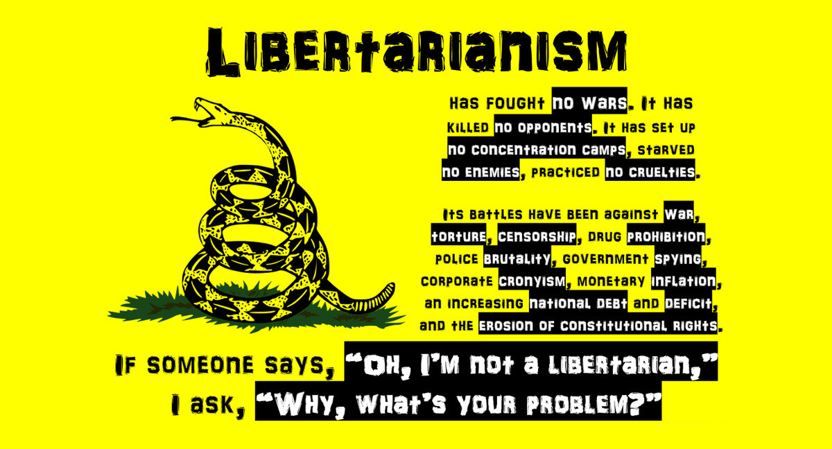 What do libertarians believe?